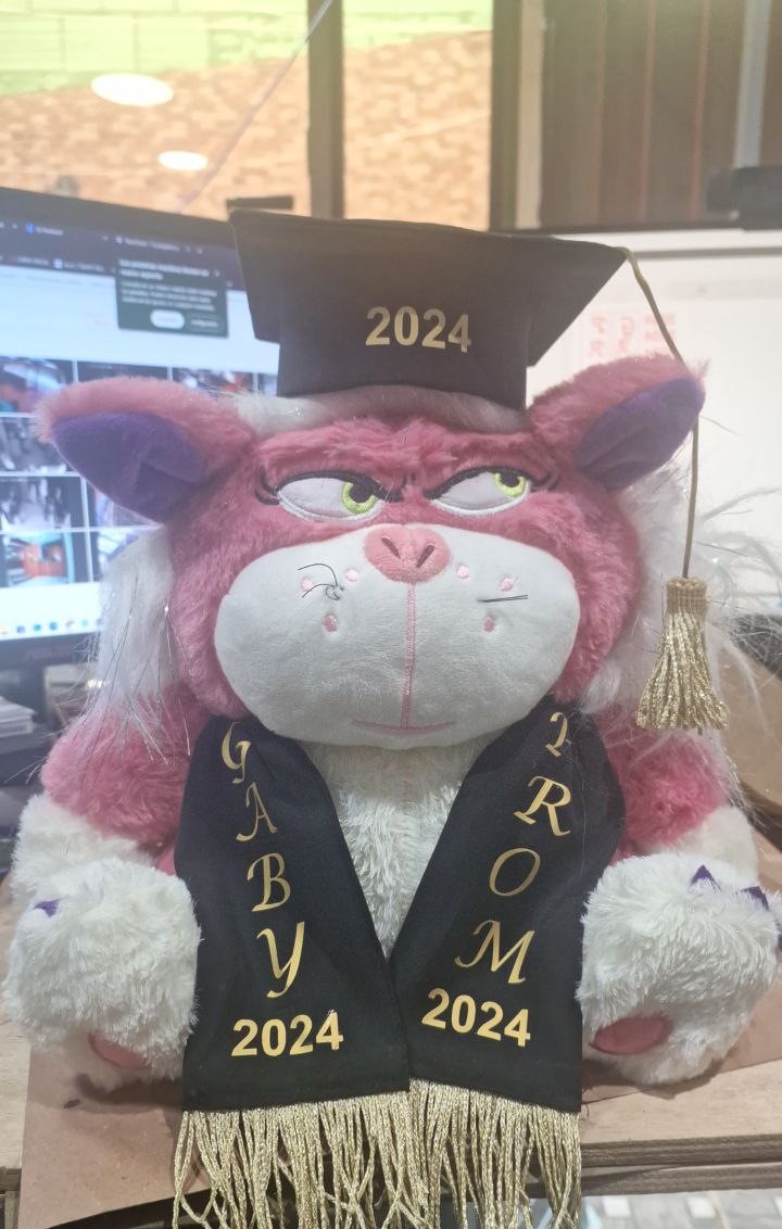 peluche graduacion